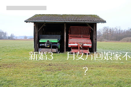 新婚3個月女方回娘家不歸，彩禮錢還能要回來嗎？
